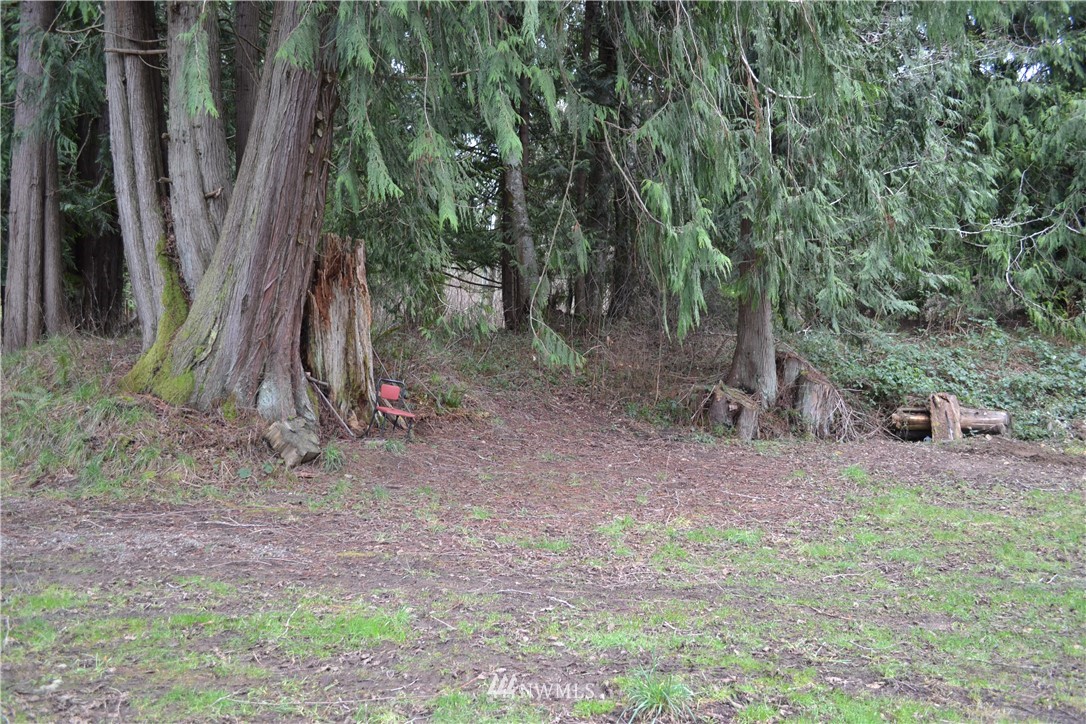 9999 Wasankari Road Port Angeles, WA 98363 - Photo 32 of 32 Gallery Image 32