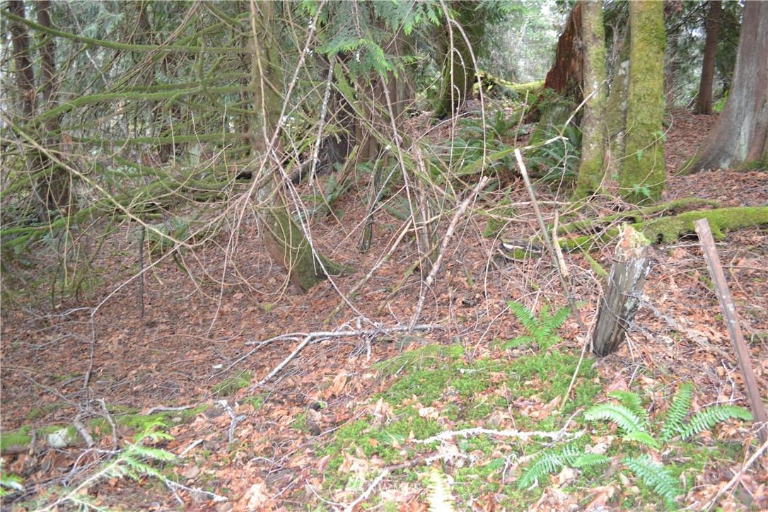 9999 Wasankari Road Port Angeles, WA 98363 - Photo 7 of 32 Gallery Image 7