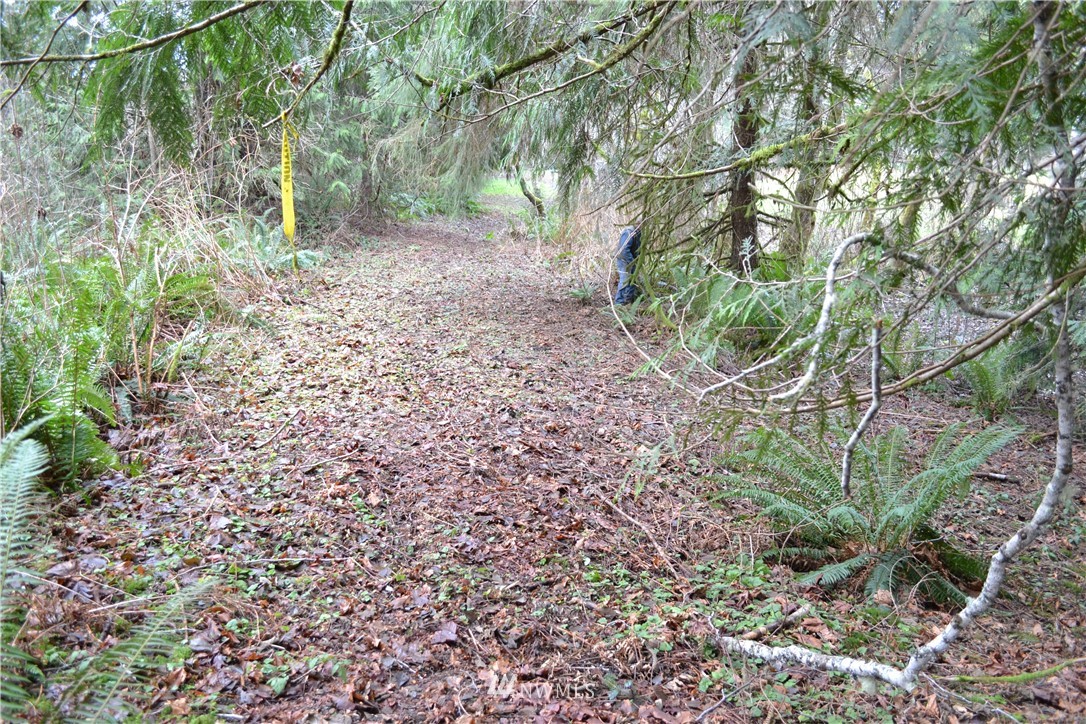 9999 Wasankari Road Port Angeles, WA 98363 - Photo 8 of 32 Gallery Image 8