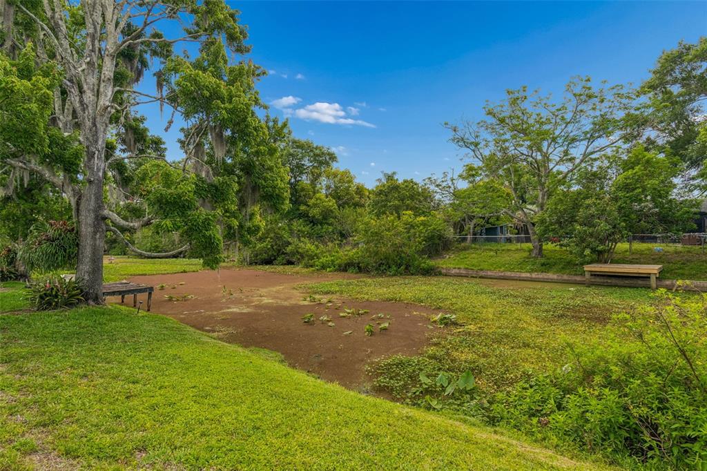 7038 Jenner Avenue New Port Richey, FL 34655 - Photo 49 of 60