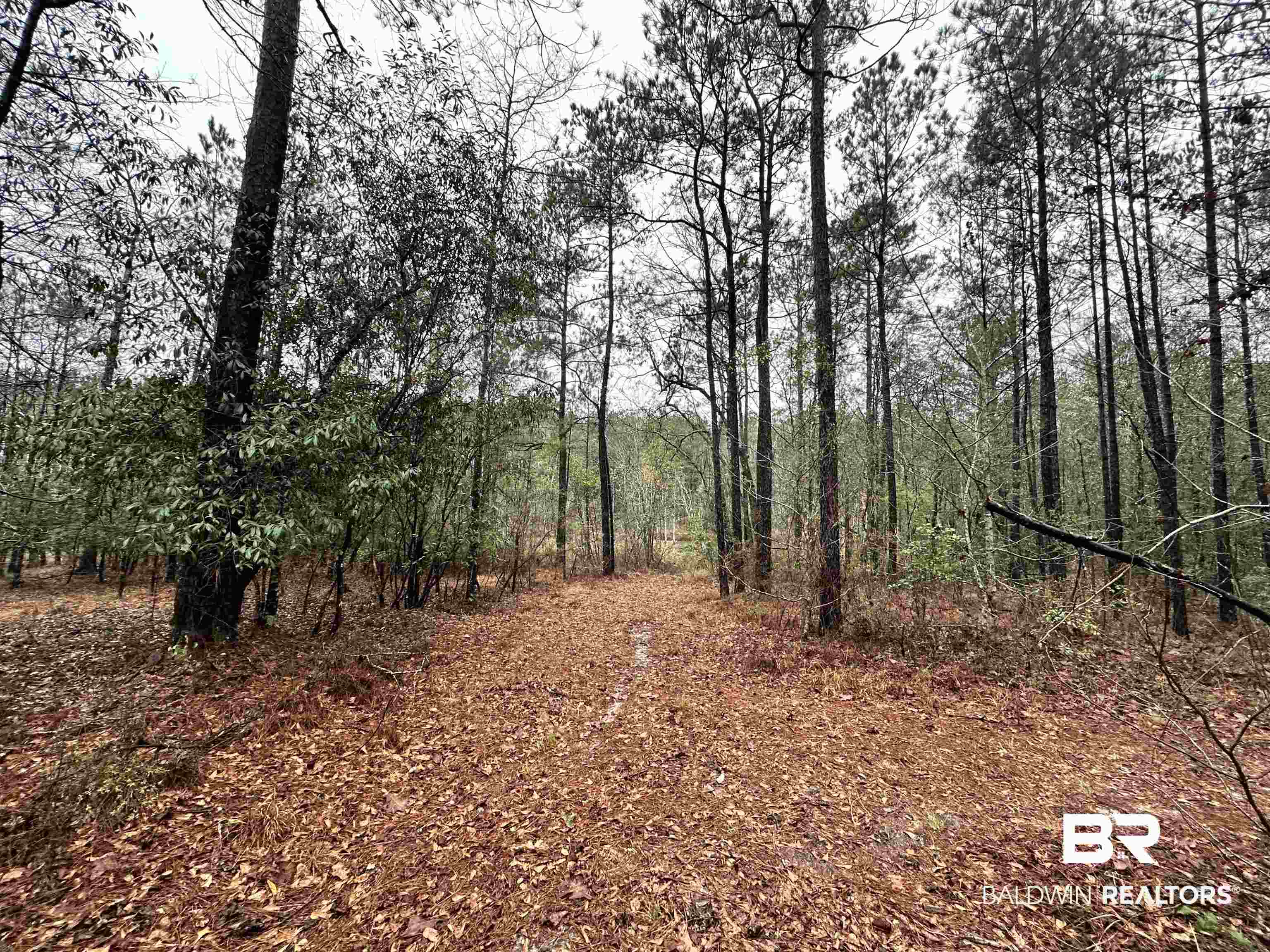 4549 J D Howard Road Tibbie, AL 36583 - Photo 5 of 33