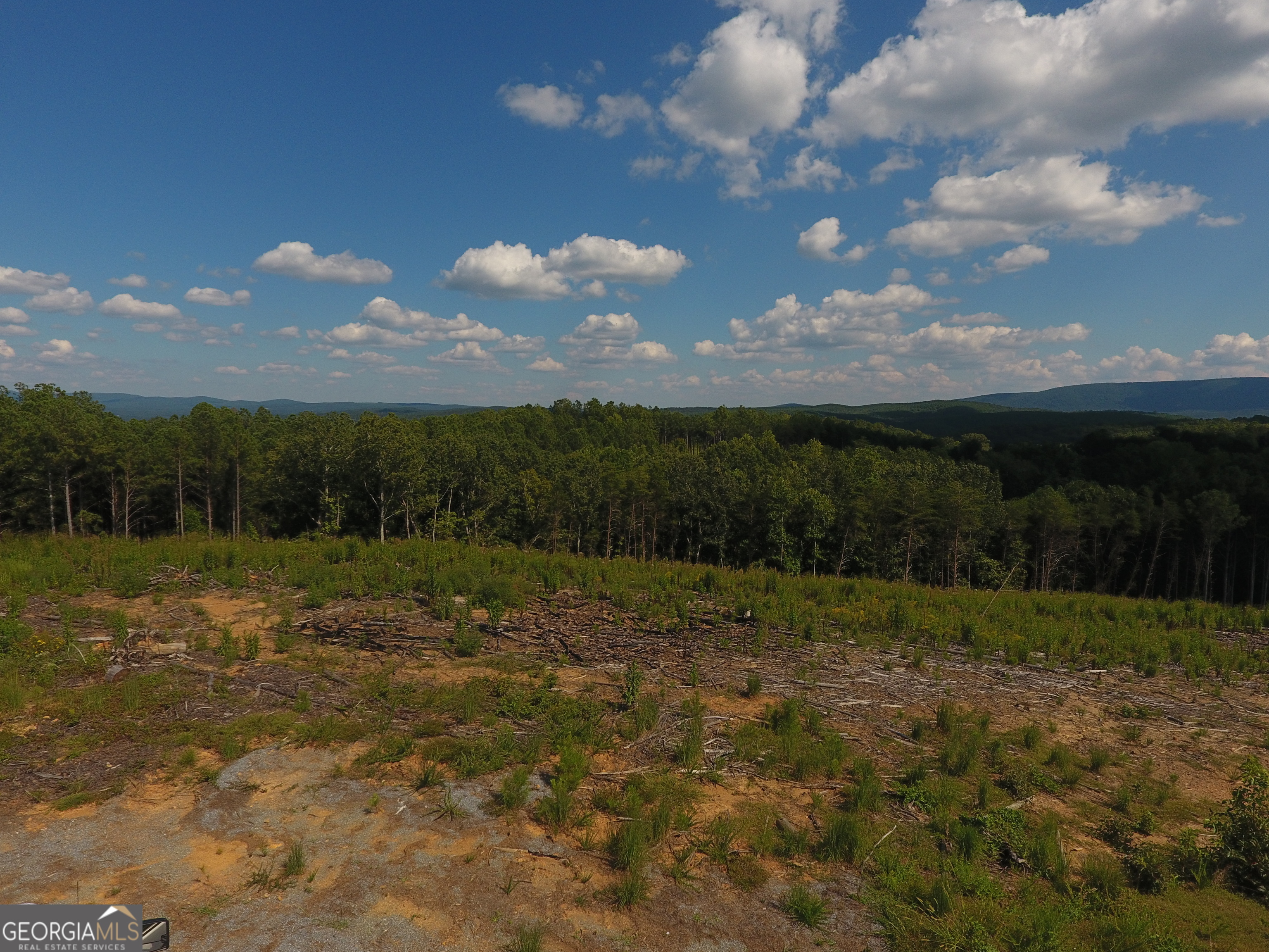 0 Johnson Mountain Road, Unit 7402B Fairmount, GA 30139 - Photo 10 of 37 Gallery Image 10