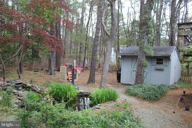 a view of a patio with chairs and plants