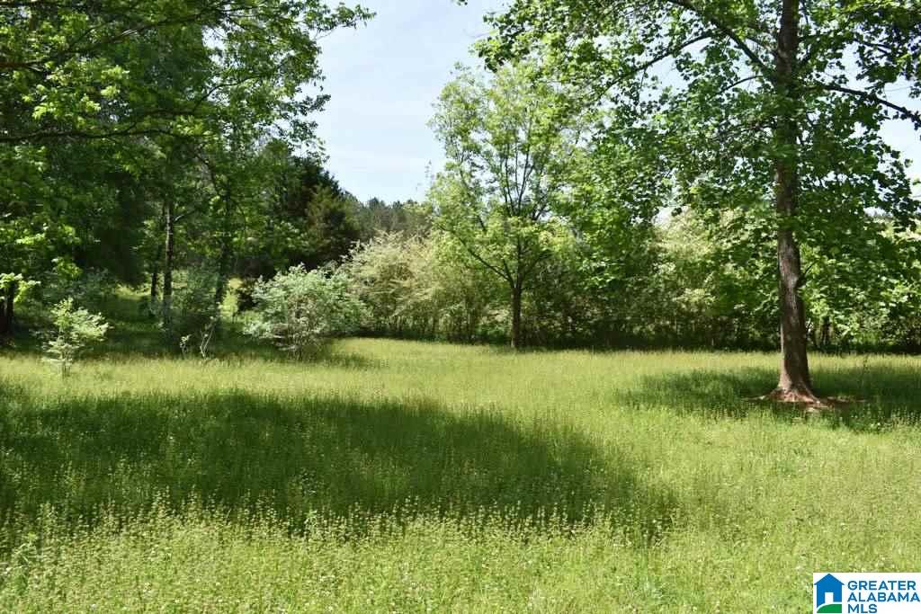 432 County Road, Unit 6A Woodland, AL 36280 - Photo 4 of 8