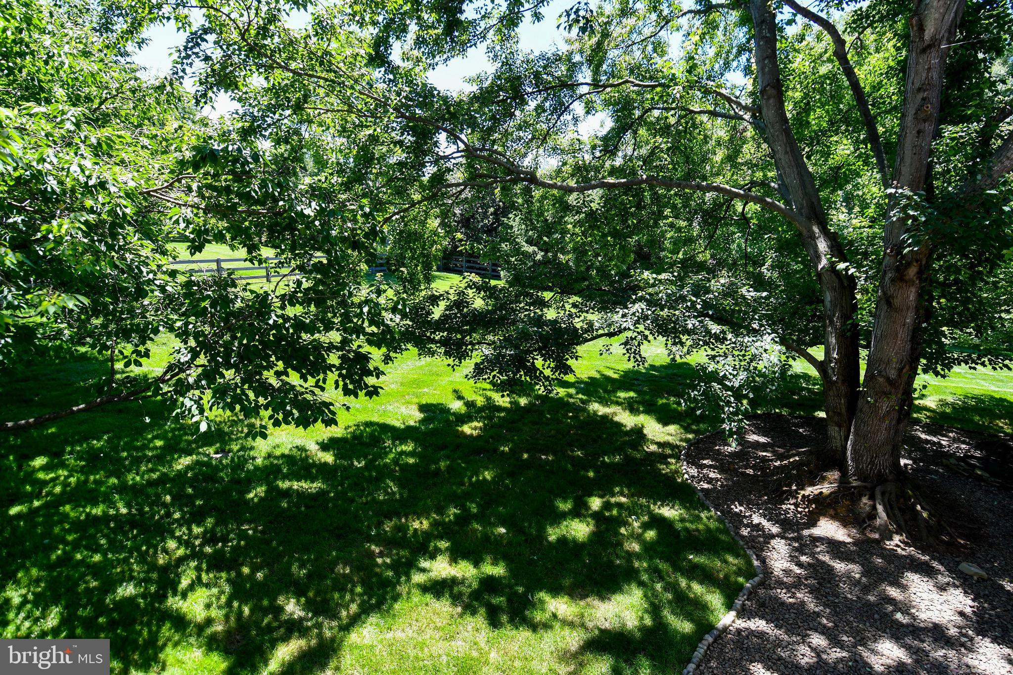 11061 Tottenham Lane Reston, VA 20194 - Photo 84 of 89