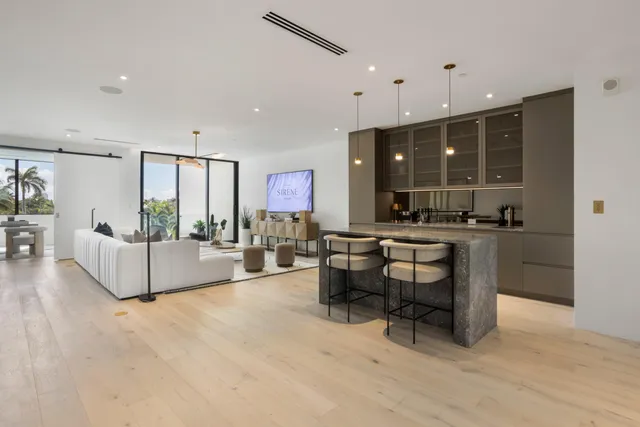 a view of a garden with plants