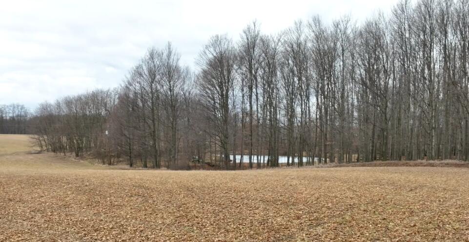 4-5 Below Road Grass Lake, MI 49240 - Photo 2 of 3 2