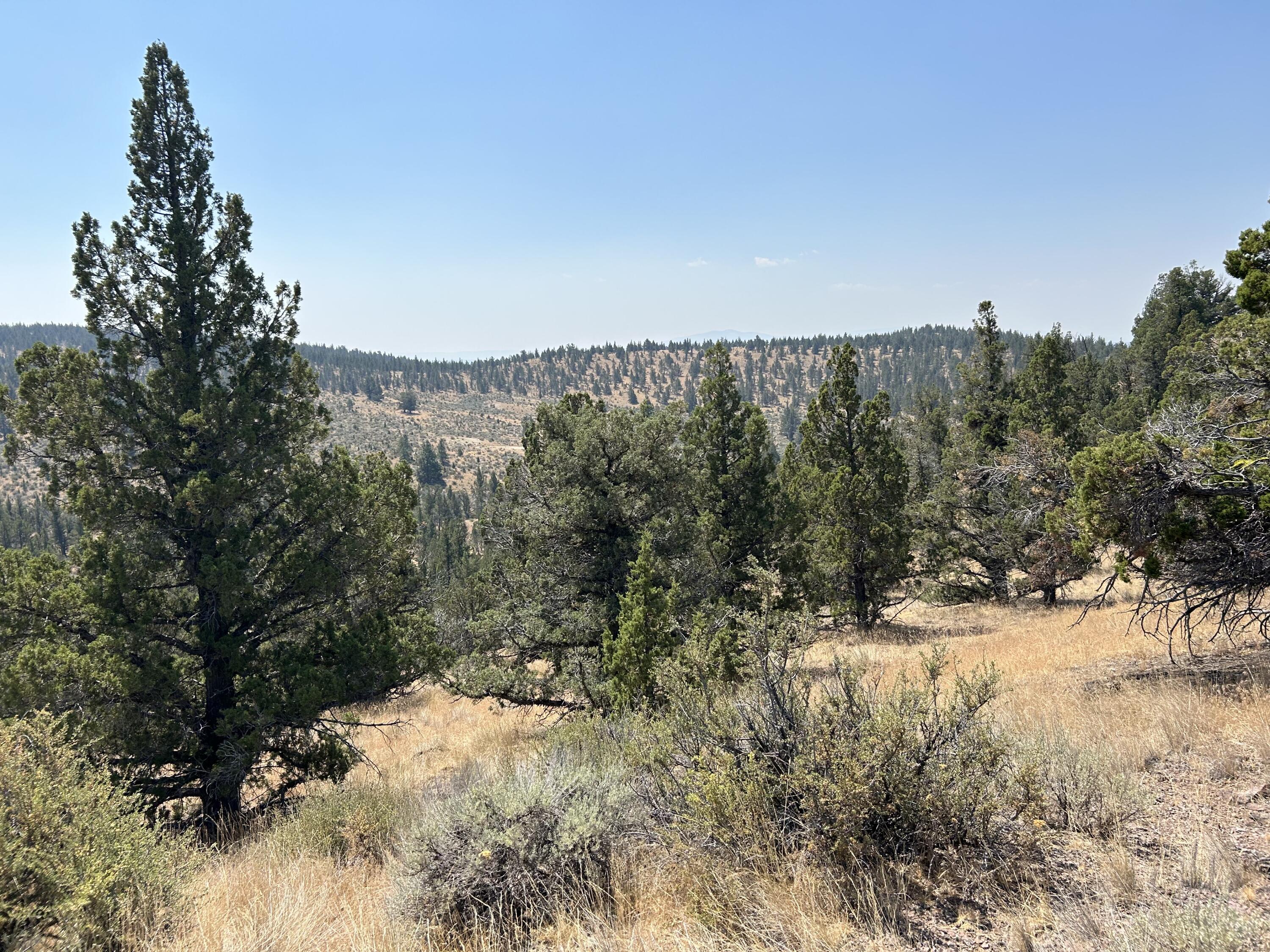 1900 Simpson Road Prineville, OR 97754 - Photo 1 of 7 IMG_5148
