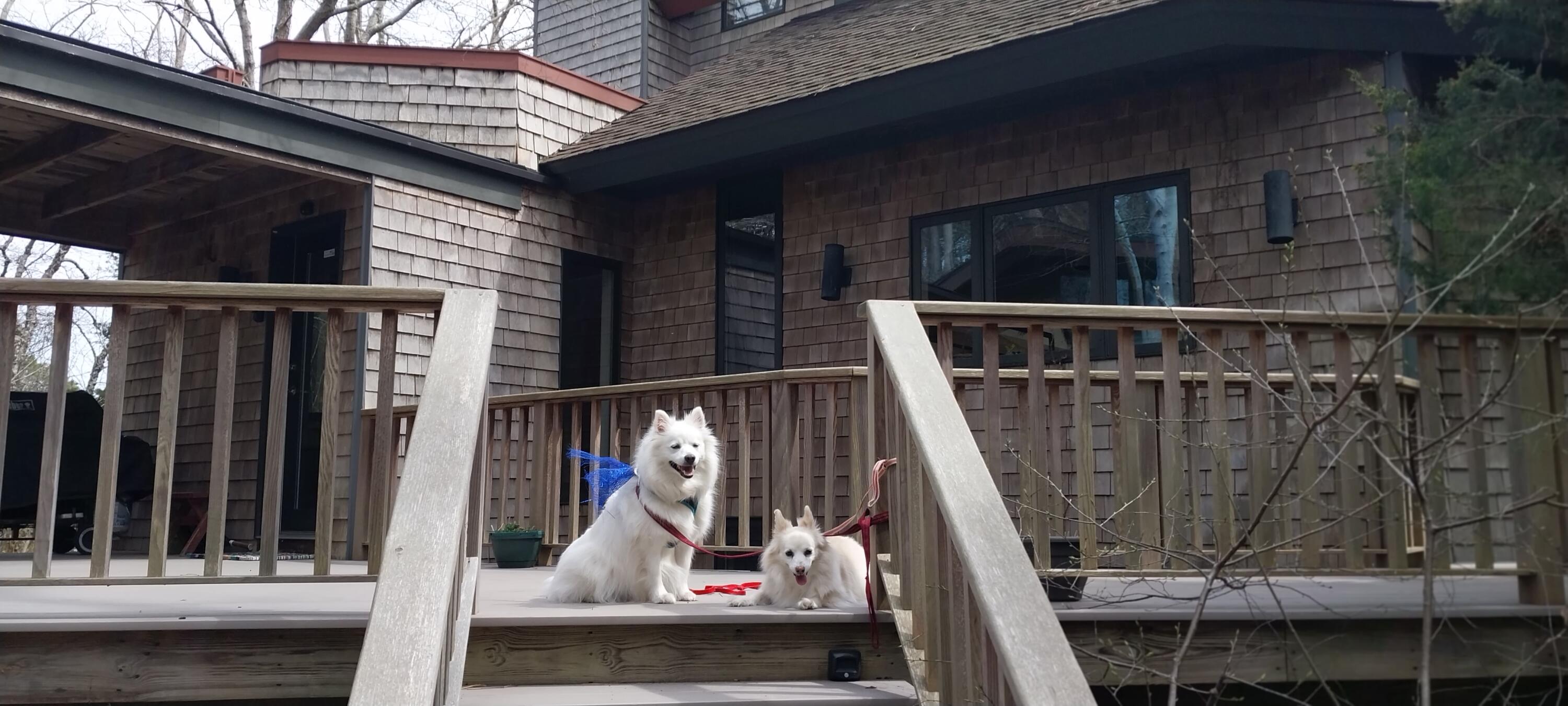 506 Old Chequessett Neck Road Wellfleet, MA 02667 - Photo 4 of 46 a view of deck with patio