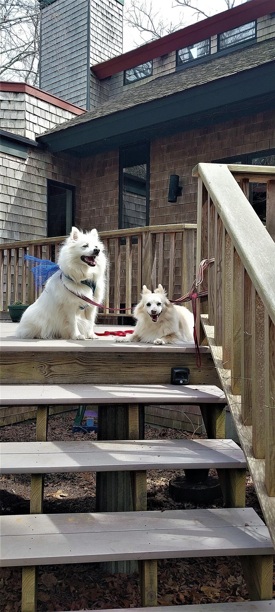 506 Old Chequessett Neck Road Wellfleet, MA 02667 - Photo 45 of 46 a close view of fireplace