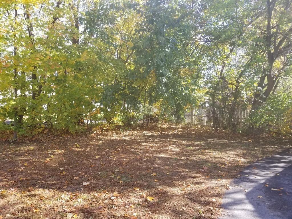 51 Reed Street Agawam, MA 01001 - Photo 12 of 14 a view of a yard with a tree