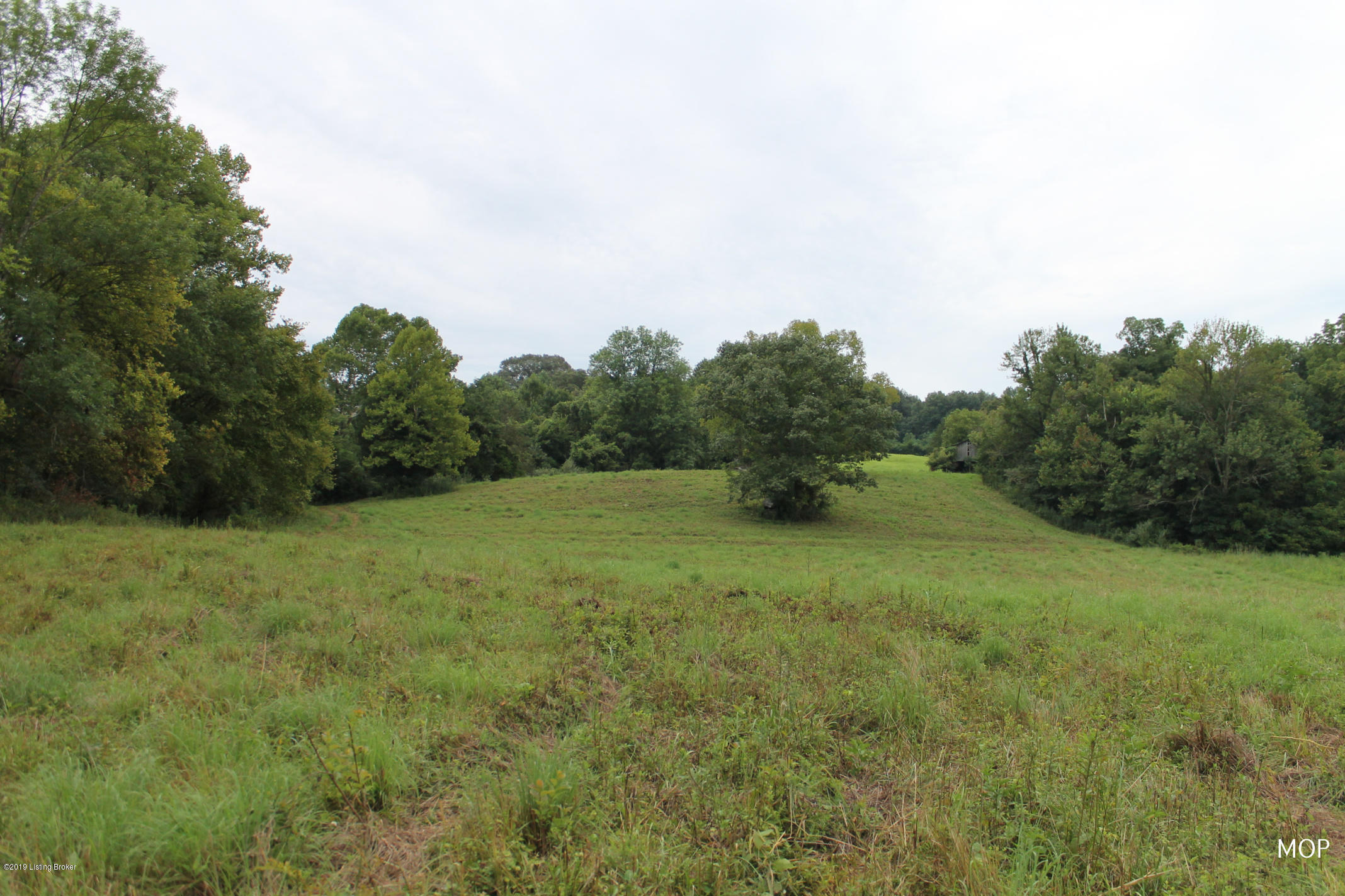 1000 Figett Bend Road Canmer, KY 42722 - Photo 58 of 61 IMG_2325