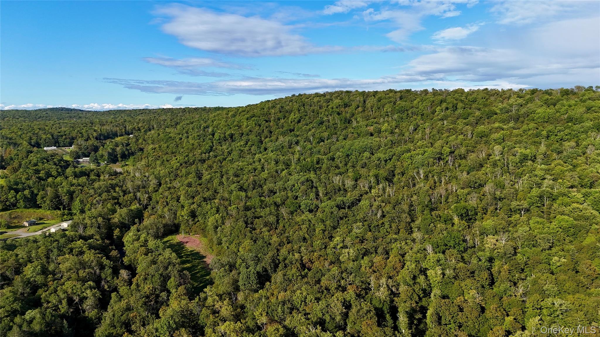 216 Neer Road Long Eddy, NY 12760 - Photo 37 of 48