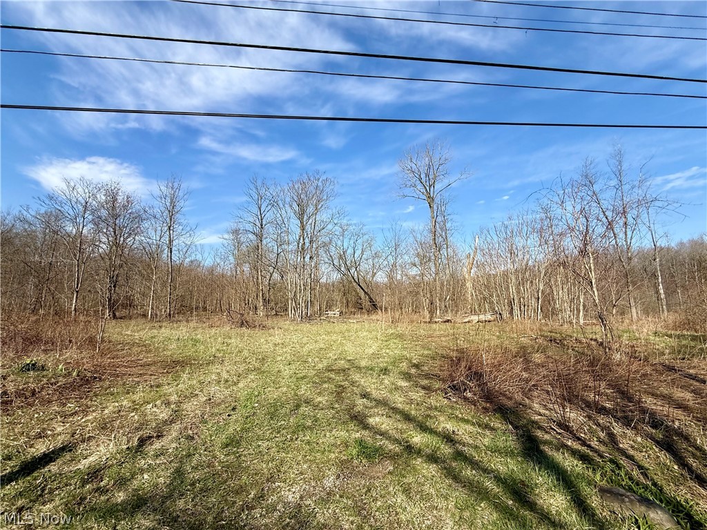 515 Middle Road Conneaut, OH 44030 - Photo 4 of 15