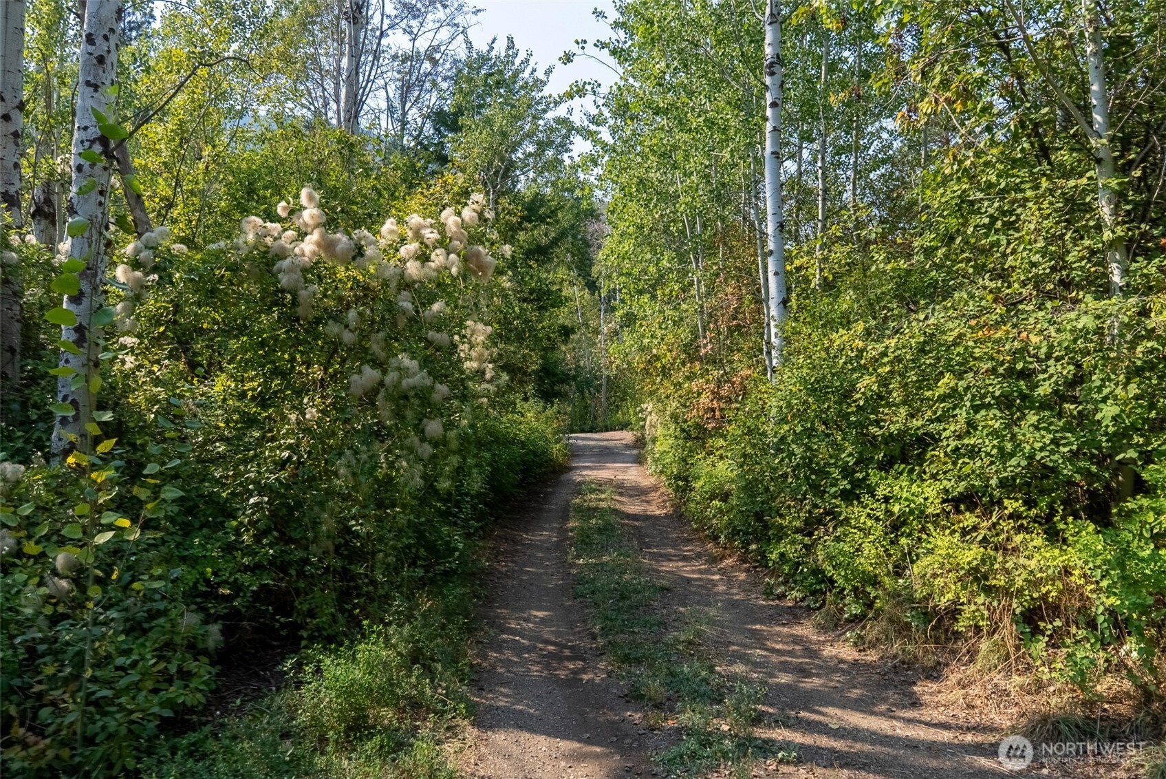 96 Alder Creek Road Twisp, WA 98856 - Photo 37 of 40 a view of a pathway both side of yard