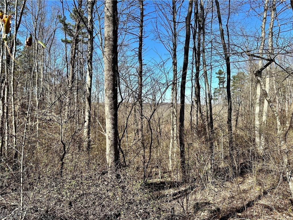 0 Fisher Ridge Road Fleming, OH 45729 - Photo 5 of 6 View of local wilderness featuring a view of trees
