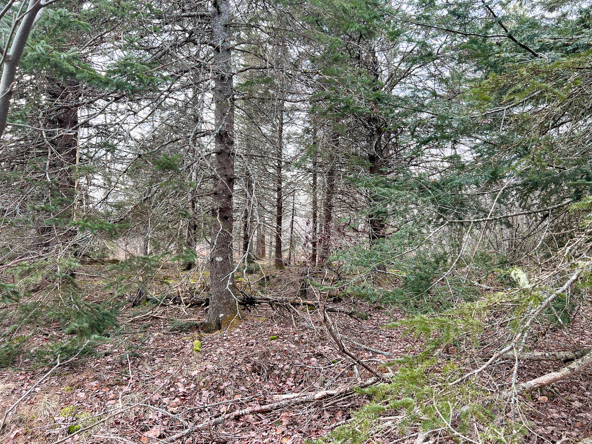 M4-l117 Southwest Crk Road Jonesport, ME 04649 - Photo 11 of 18 IMG_8381