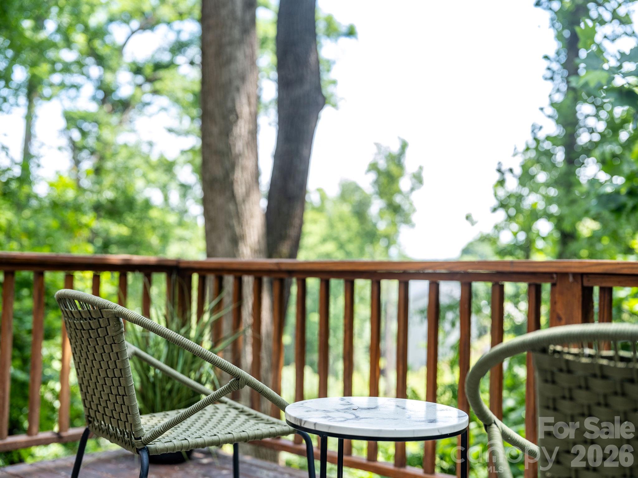 1 Pickwick Road Asheville, NC 28803 - Photo 29 of 43