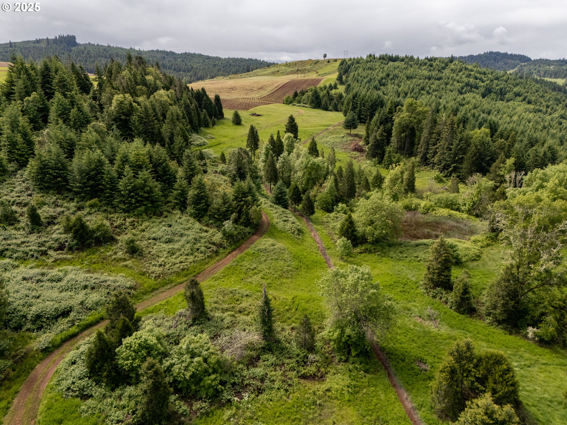 1066 Red Hill Road Oakland, OR 97462 - Photo 23 of 48