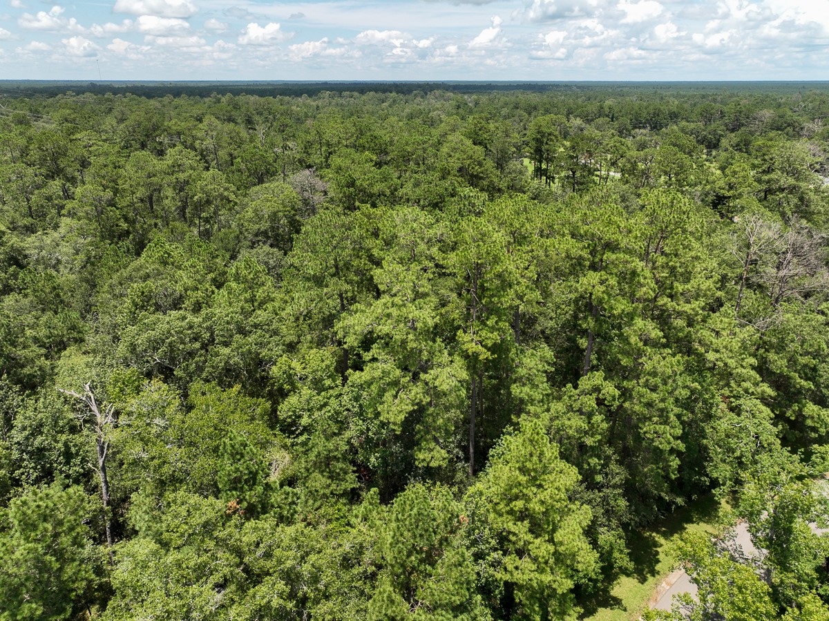 2 County Road 821 Buna, TX 77612 - Photo 12 of 15