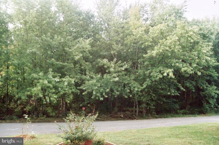 4901 Split Rock Road Alexandria, VA 22310 - Photo 3 of 19 LOOK AT THIS FRONT VIEW!