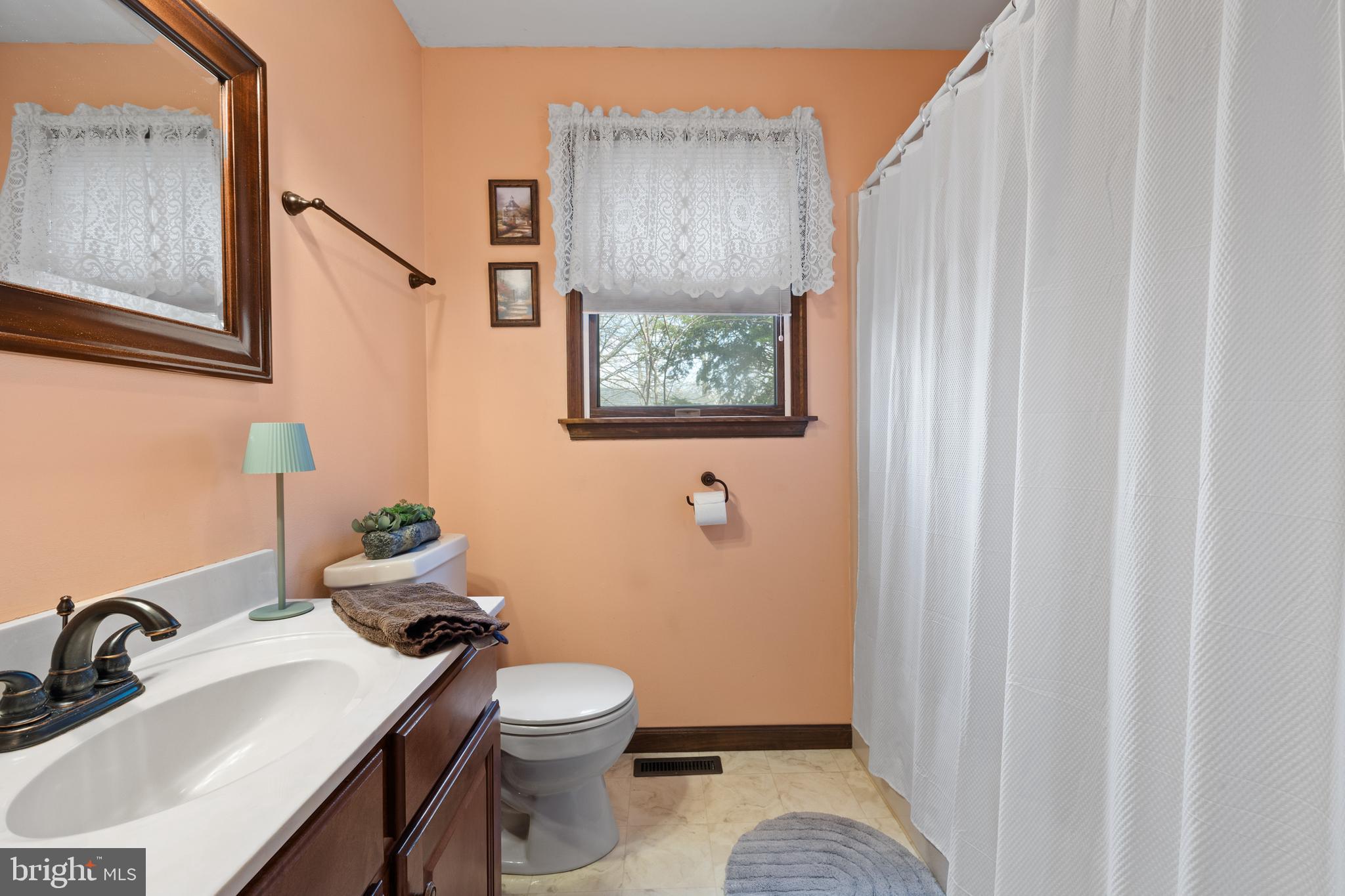2645 West Buck Road East Greenville, PA 18041 - Photo 27 of 55 a bathroom with a sink toilet and a mirror