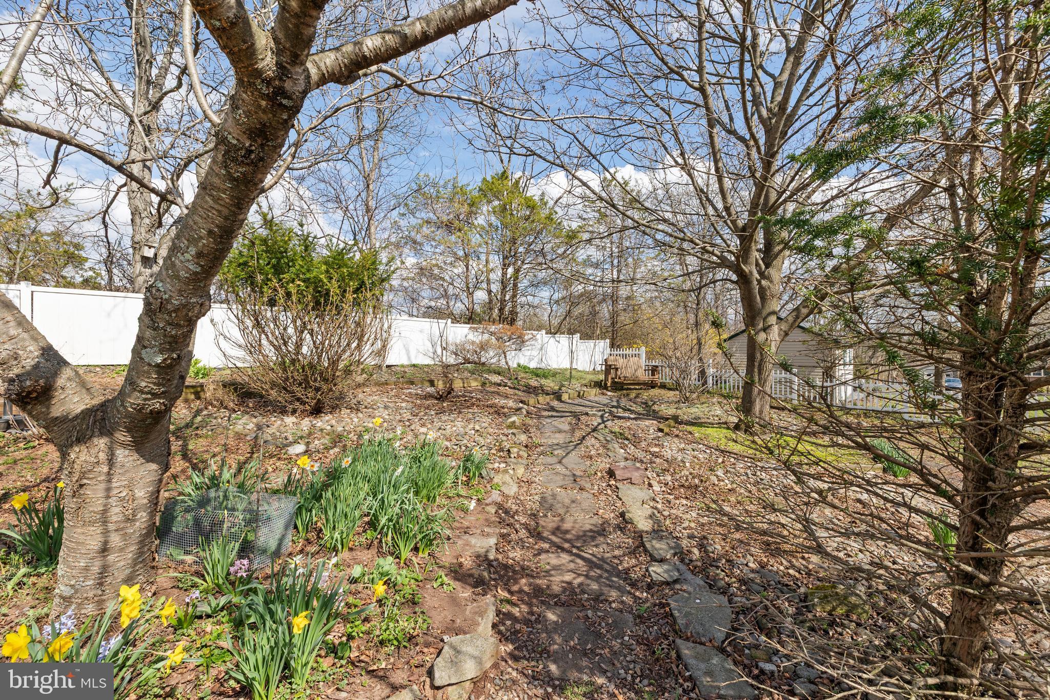 2645 West Buck Road East Greenville, PA 18041 - Photo 44 of 55 a view of yard with tree s