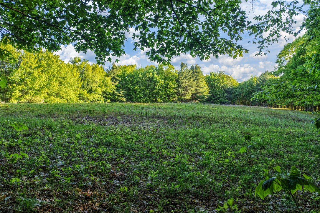 19-22 25 Frank Slawson Road Oneonta, NY 13820 - Photo 11 of 30