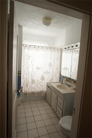 45 Greaton Road Boston, MA 02132 - Photo 18 of 23 Gallery Image 18