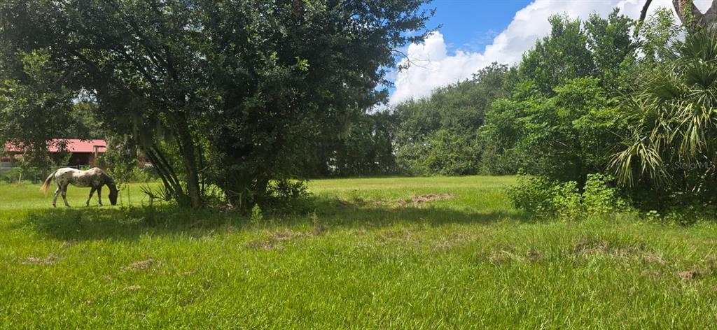 4511 East Keysville Road Lithia, FL 33547 - Photo 5 of 14 Gallery Image 5