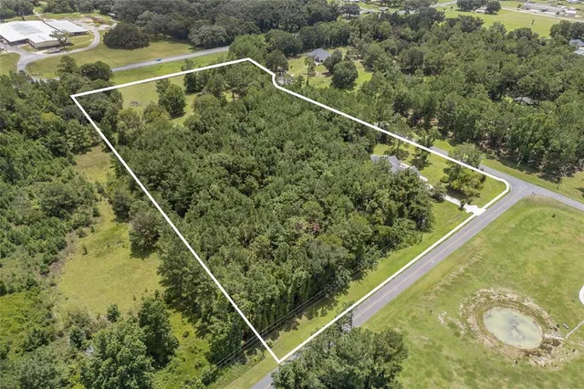 a view of a yard with a tree