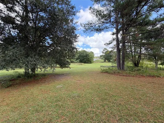a view of outdoor space with deck and trees