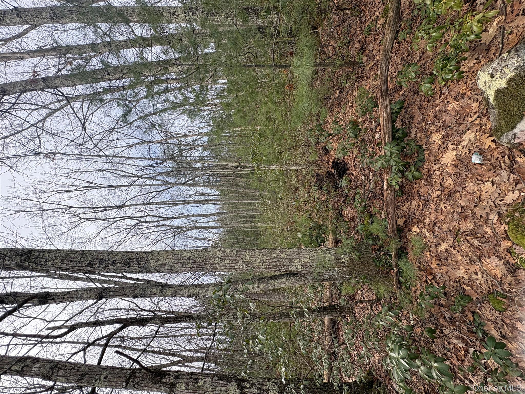 Bennett Road Napanoch, NY 12458 - Photo 2 of 9