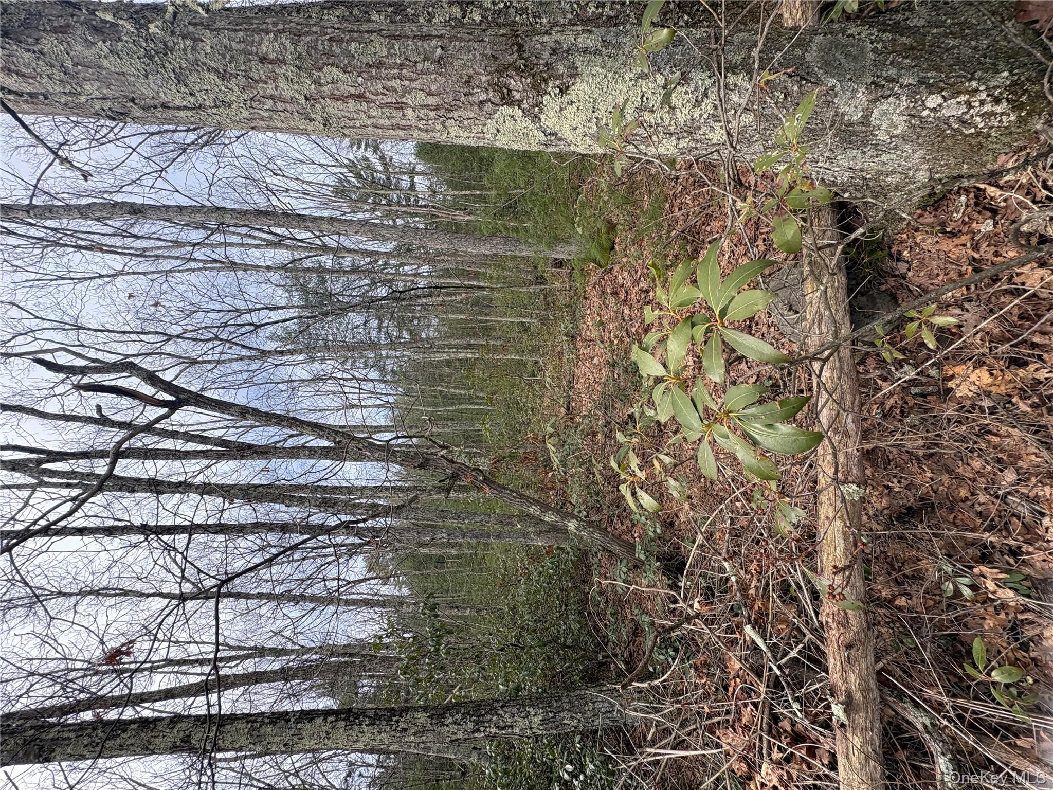 Bennett Road Napanoch, NY 12458 - Photo 3 of 9