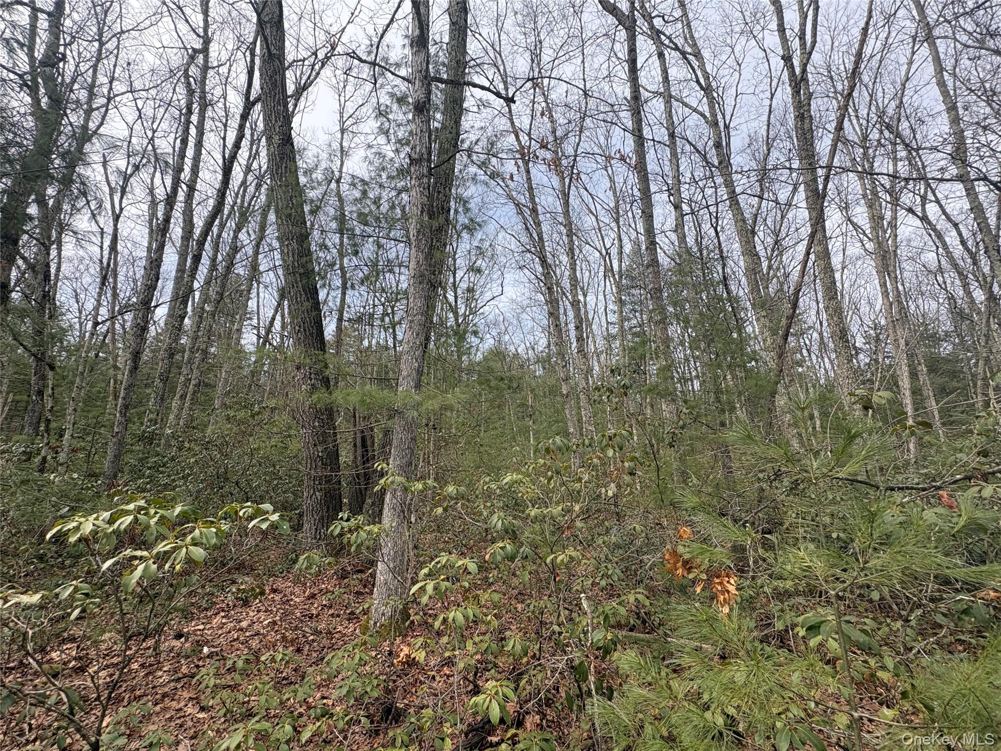 Bennett Road Napanoch, NY 12458 - Photo 4 of 9