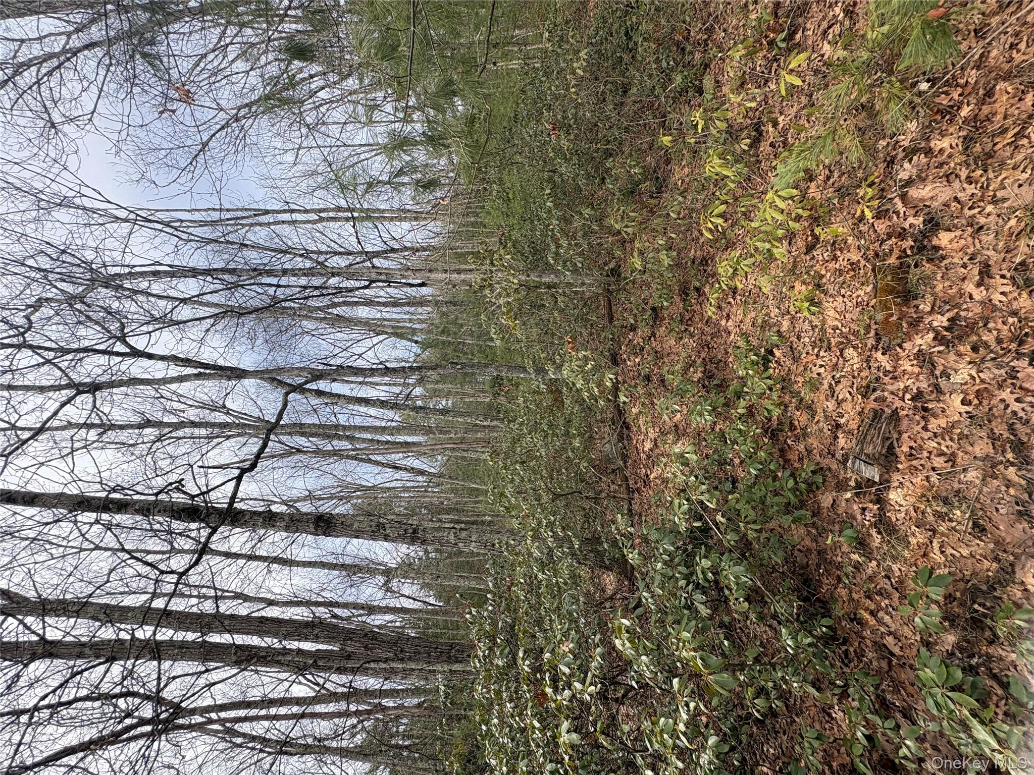 Bennett Road Napanoch, NY 12458 - Photo 5 of 9