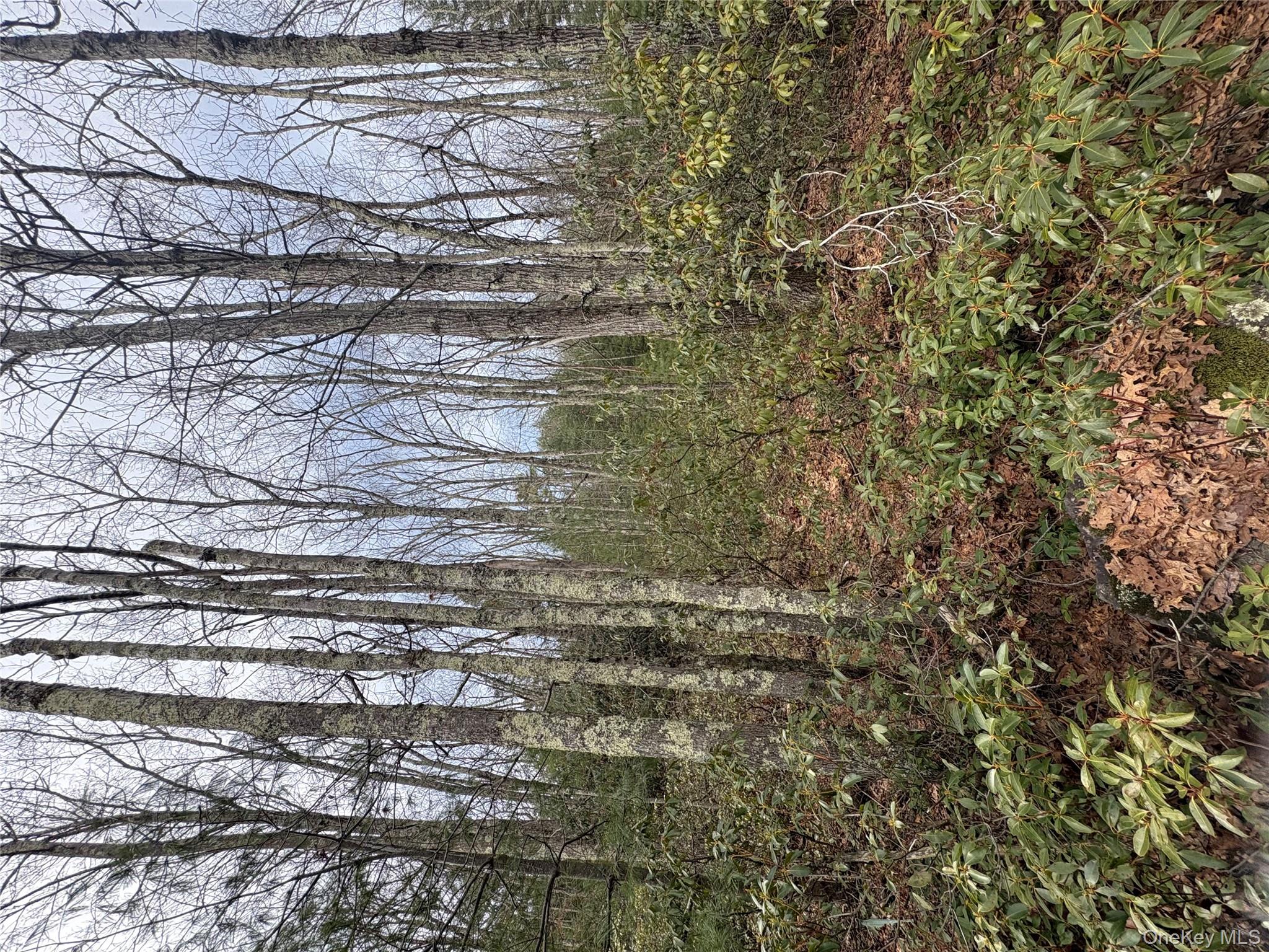 Bennett Road Napanoch, NY 12458 - Photo 6 of 9