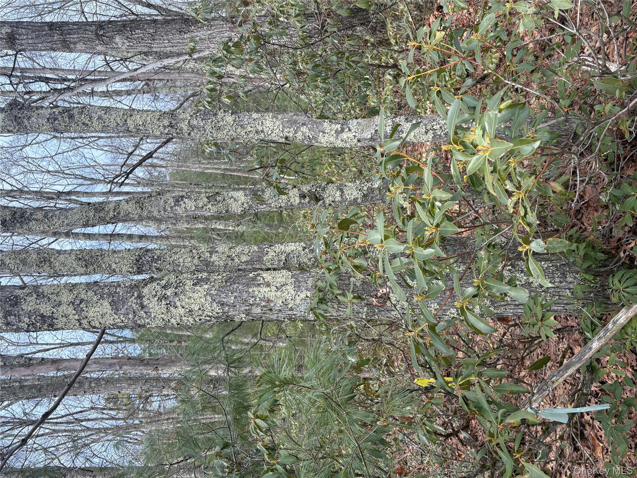 Bennett Road Napanoch, NY 12458 - Photo 7 of 9