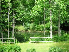 120 George Berry Road Unicoi, TN 37692 - Photo 3 of 24 View of Pond from Back Porch