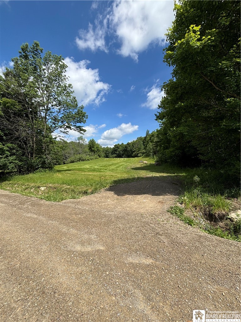 1471 Loomis Road Rexville, NY 14877 - Photo 45 of 50