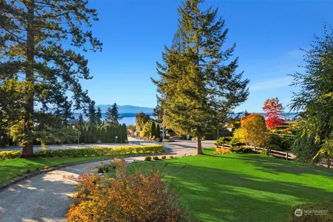 a view of a park with plants and trees