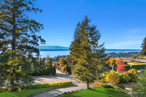 a view of a yard with plants and tree
