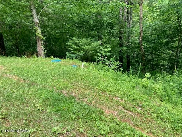 $91,900 | Laurel Road, Townsend, TN 37882