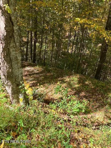 $91,900 | Laurel Road, Townsend, TN 37882