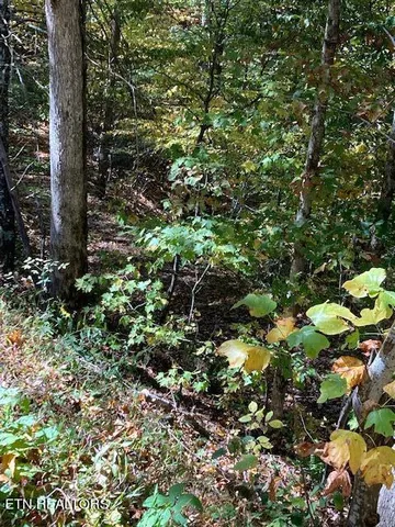 $91,900 | Laurel Road, Townsend, TN 37882