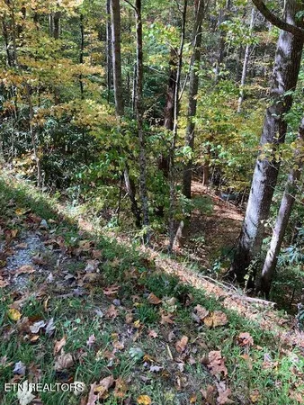 $91,900 | Laurel Road, Townsend, TN 37882
