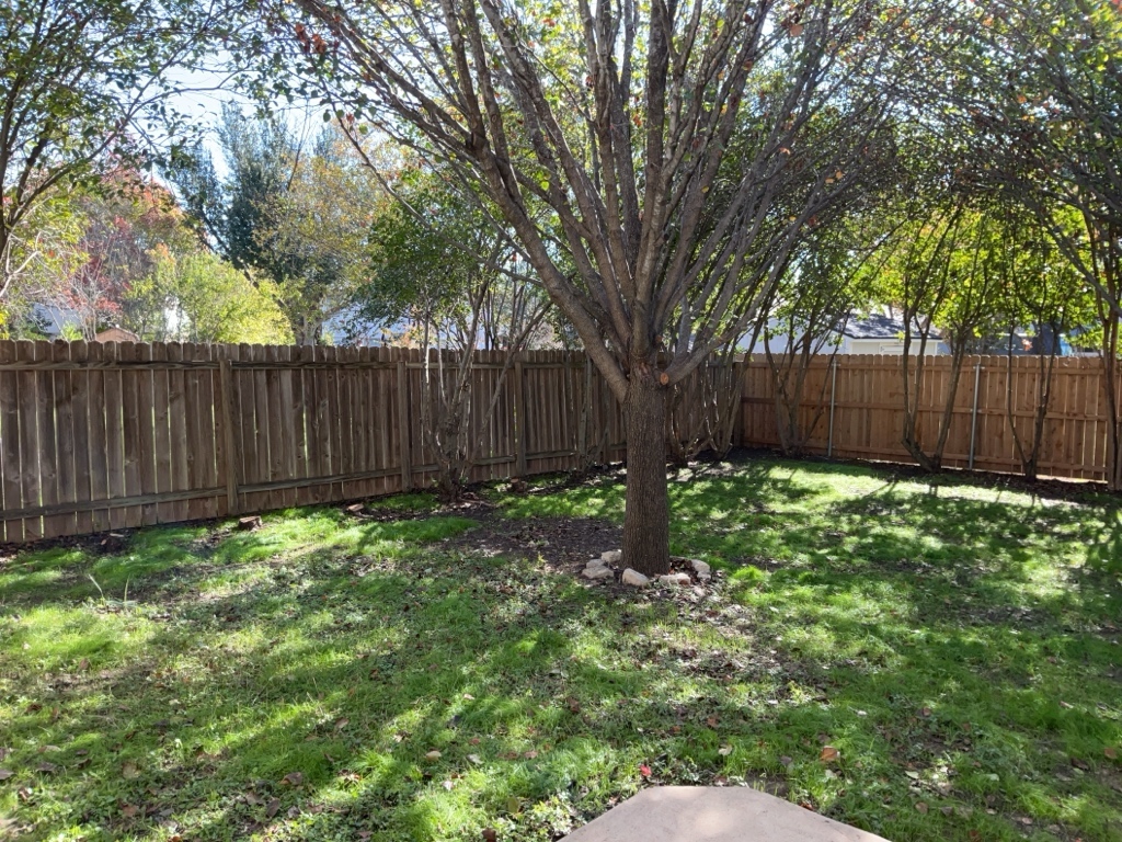 1511 Thibodeaux Drive Round Rock, TX 78664 - Photo 31 of 31 View of fenced backyard