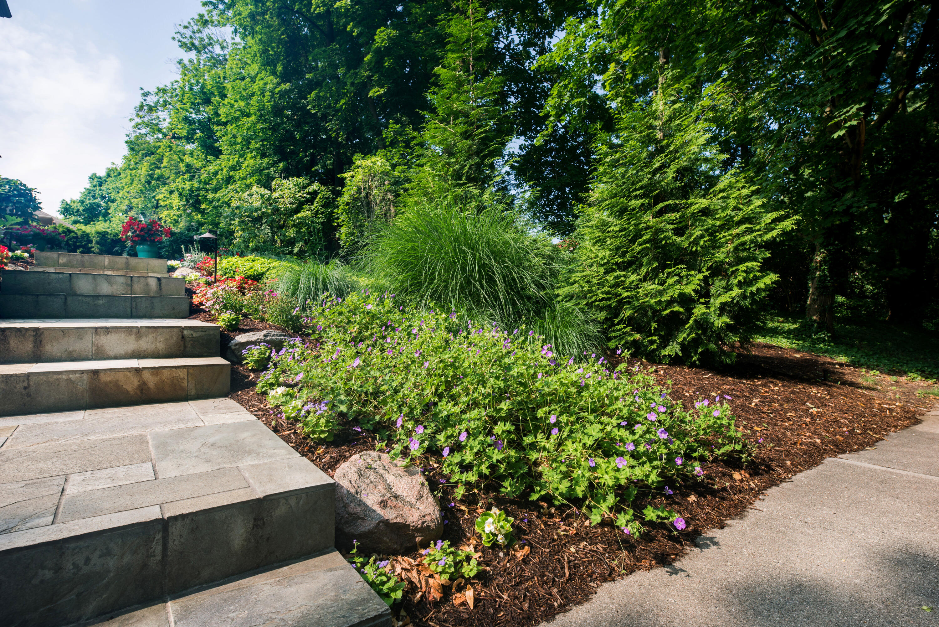 1614 Cambridge Road Ann Arbor, MI 48104 - Photo 63 of 64 55 landscaping
