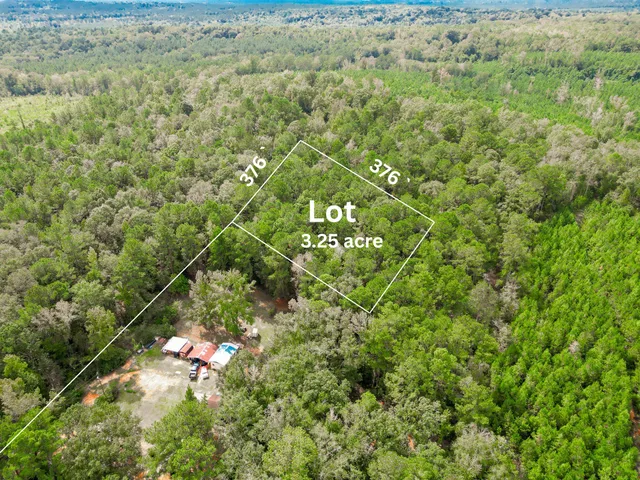 a view of a yard with a tree