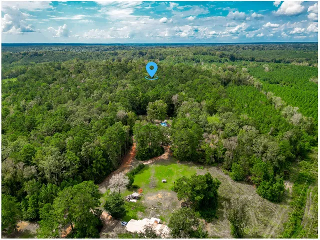 a view of a yard with a tree